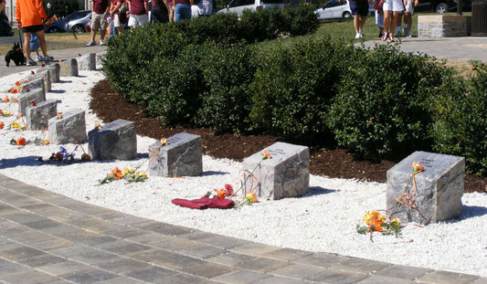 Memorial Tech Options: Remembering Loved Ones